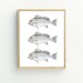 Fish Print, Fish Printable, Coastal Decor, Grey Fish Wall Art, Nautical ...