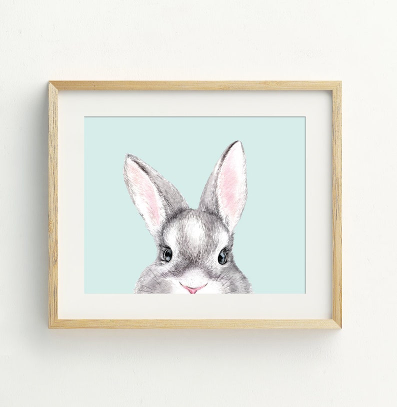 May include: A grey and white rabbit with pink ears peeks out from behind a light blue background. The rabbit has black eyes and a small pink nose.