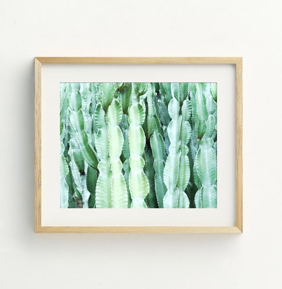 Kaktus Kunstdruck, Kaktus Wandkunst, Kaktus Poster, Kaktus Fotografie,  Kaktus Wandkunst, Moderne Kaktus Wandkunst Digitaler Download - Etsy.de