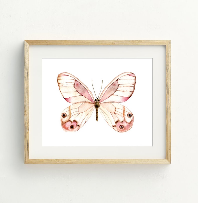 May include: A watercolor painting of a pink and white butterfly with brown accents. The butterfly is centered on a white background and is framed in a light wood frame.