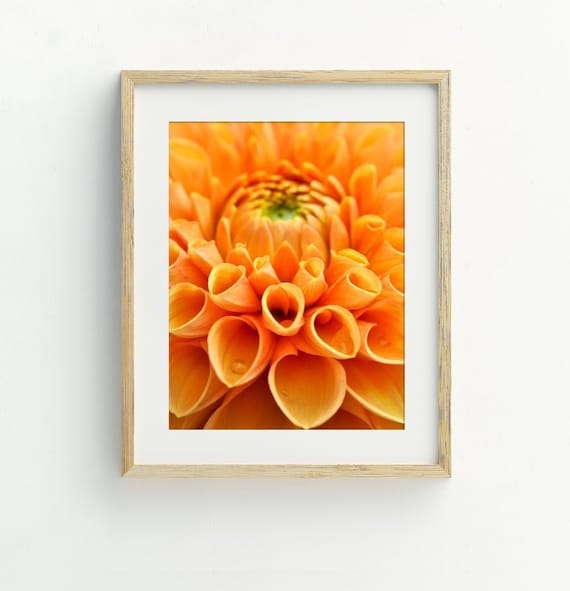 Dahlia Art Print, Orange Dahlia Photography, Instant Download Printable Art, Flower Wall Decor, Dahlia Flower Printable Art 5x7, 8x10, 11x14