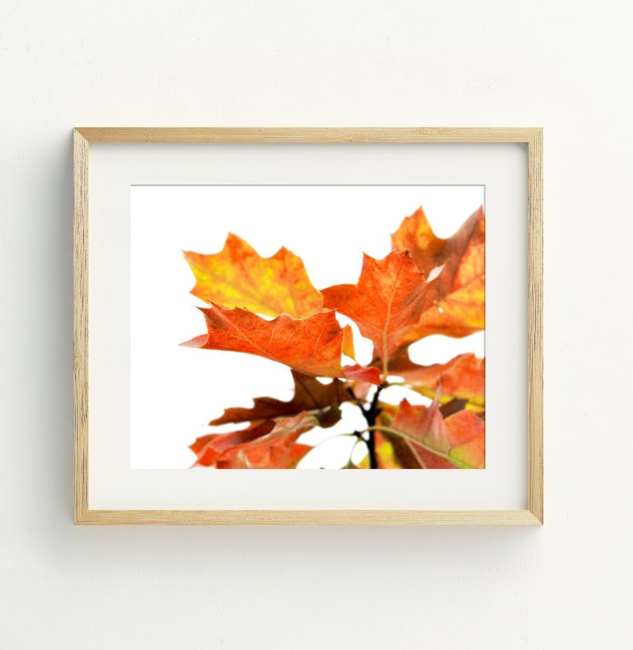 Autumn Leaves Photography, Instant Download Printable Art, Fall Wall ...