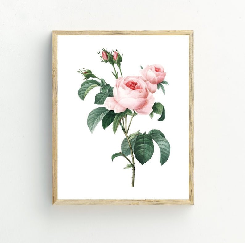 Rose Art Print Vintage Rose Wall Decor Rose Flower Wall Art Etsy UK