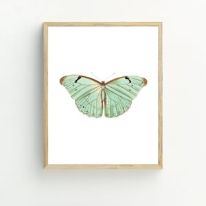 Butterfly Printable, Butterfly Wall Art Print, Minimalist Home, Mint ...
