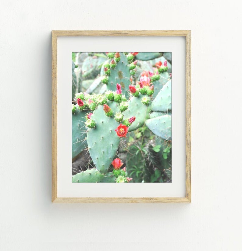 Cactus Wall Art Cactus Printable Art Cactus Poster Cactus | Etsy