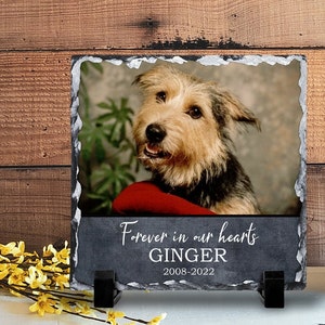 May include: A black slate photo memorial with a picture of a brown and black dog. The text "Forever in our hearts GINGER 2008-2022" is printed on the slate.