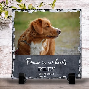 May include: A black slate photo memorial with a picture of a brown and white dog. The text reads "Forever in our hearts Riley 2009-2023".