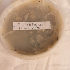 Idaabobo Lowo Epe