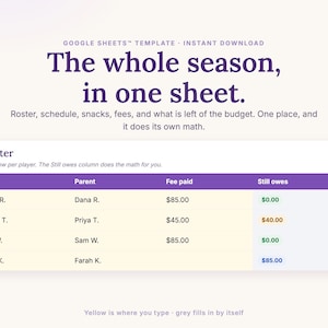Team Manager Spreadsheet for Google Sheets: the roster with fee paid and a Still owes column that does the math