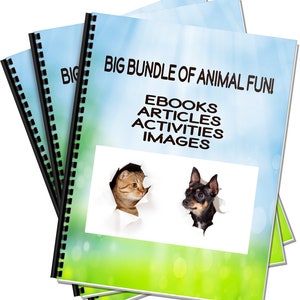 Animals to insects activities and games for kids, pet ebooks, pet articles, animal images, instant download