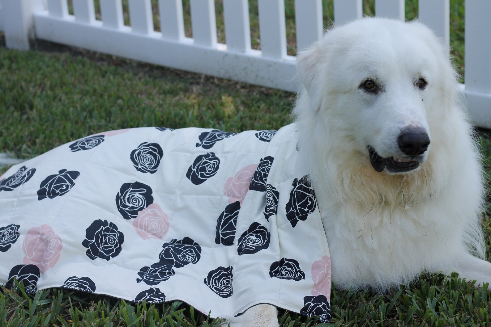 Custom Weighted Dog BlanketsFor Anxiety During Thunder Etsy