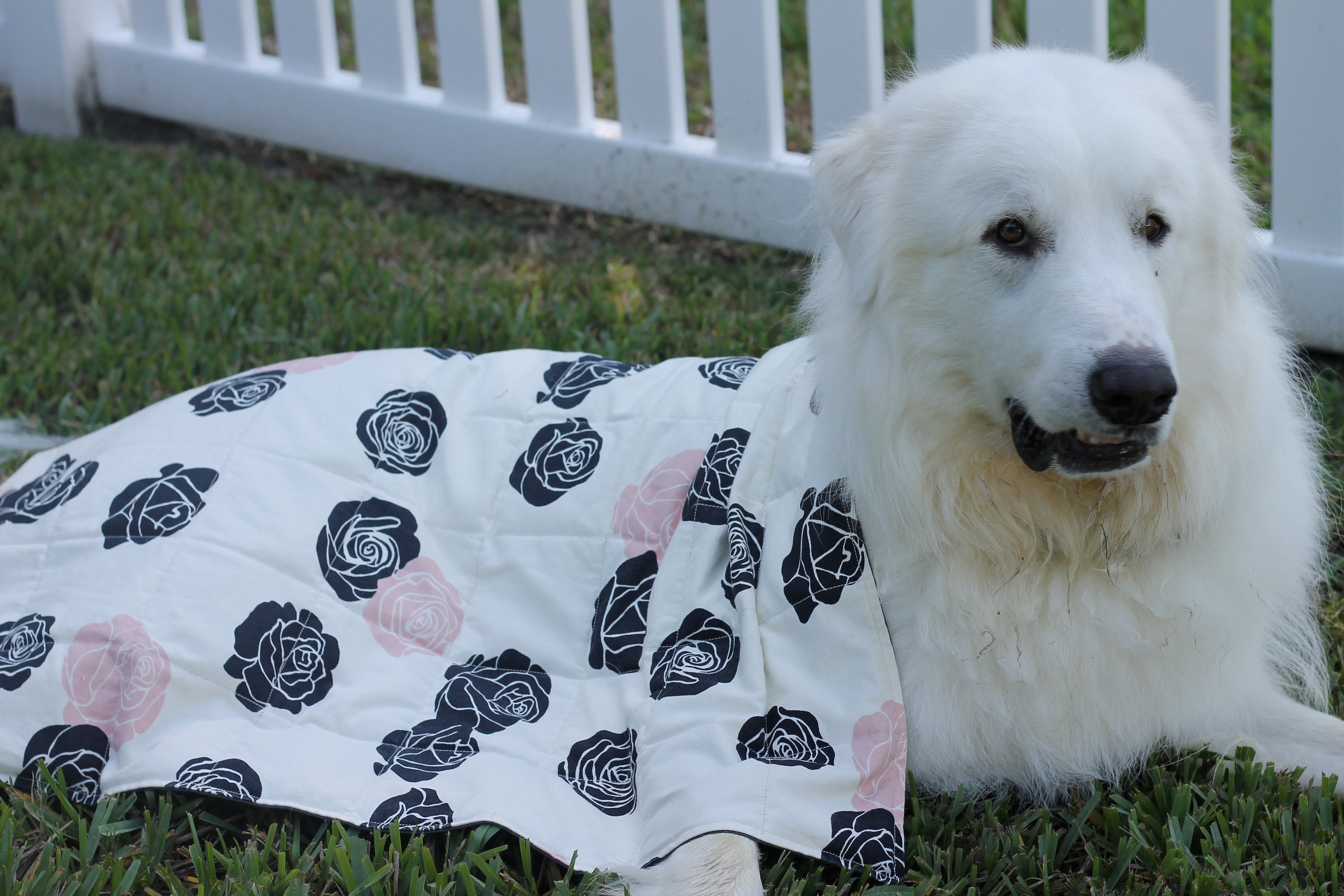 Custom Weighted Dog Blankets-For Anxiety During Thunder Storms