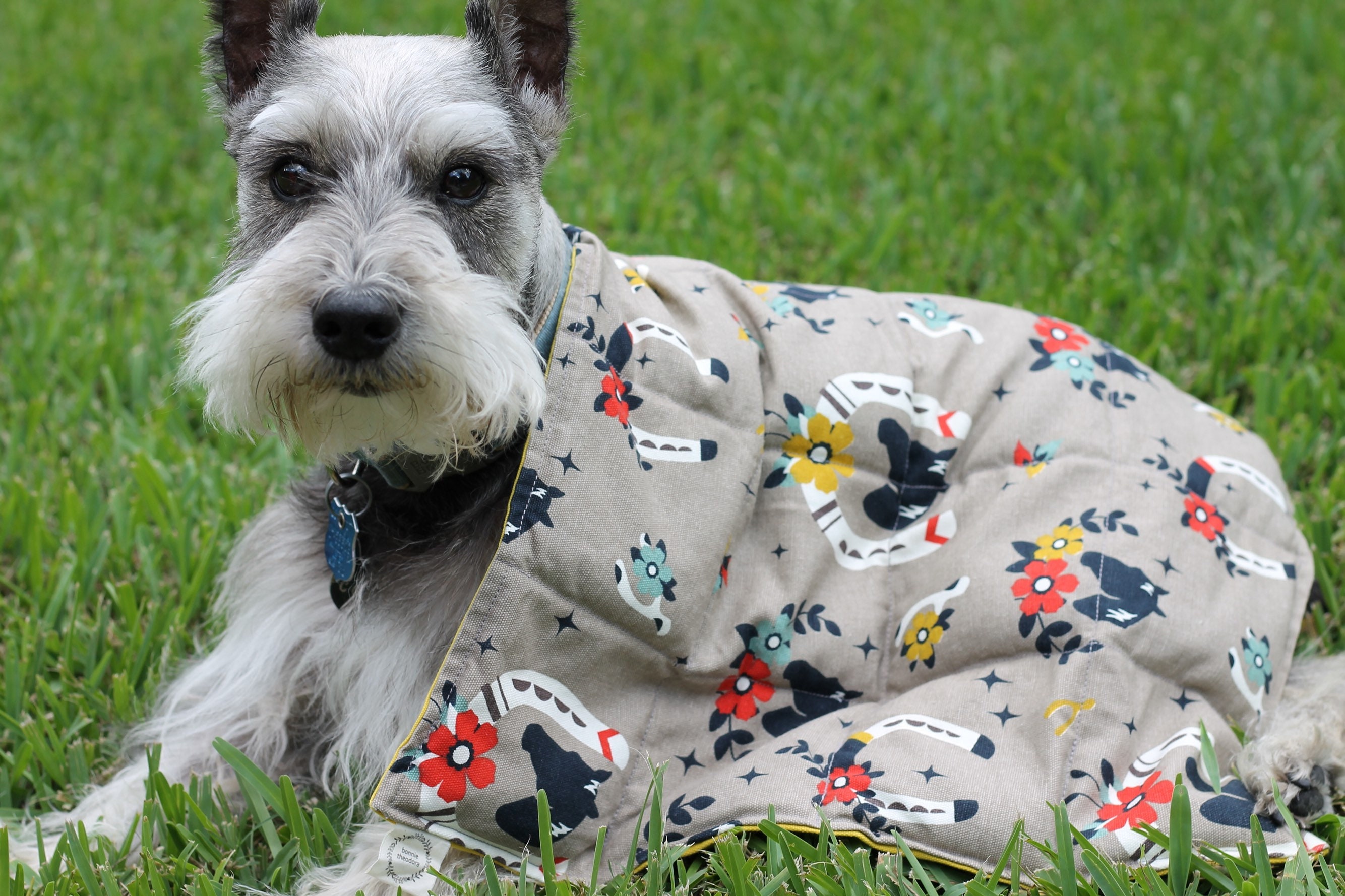 Ready To Ship Organic Weighted Dog Blanket 4lbs Organic Dog Etsy