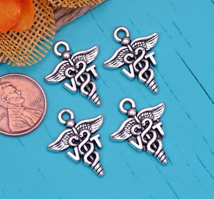 Veterinary Caduceus Charms