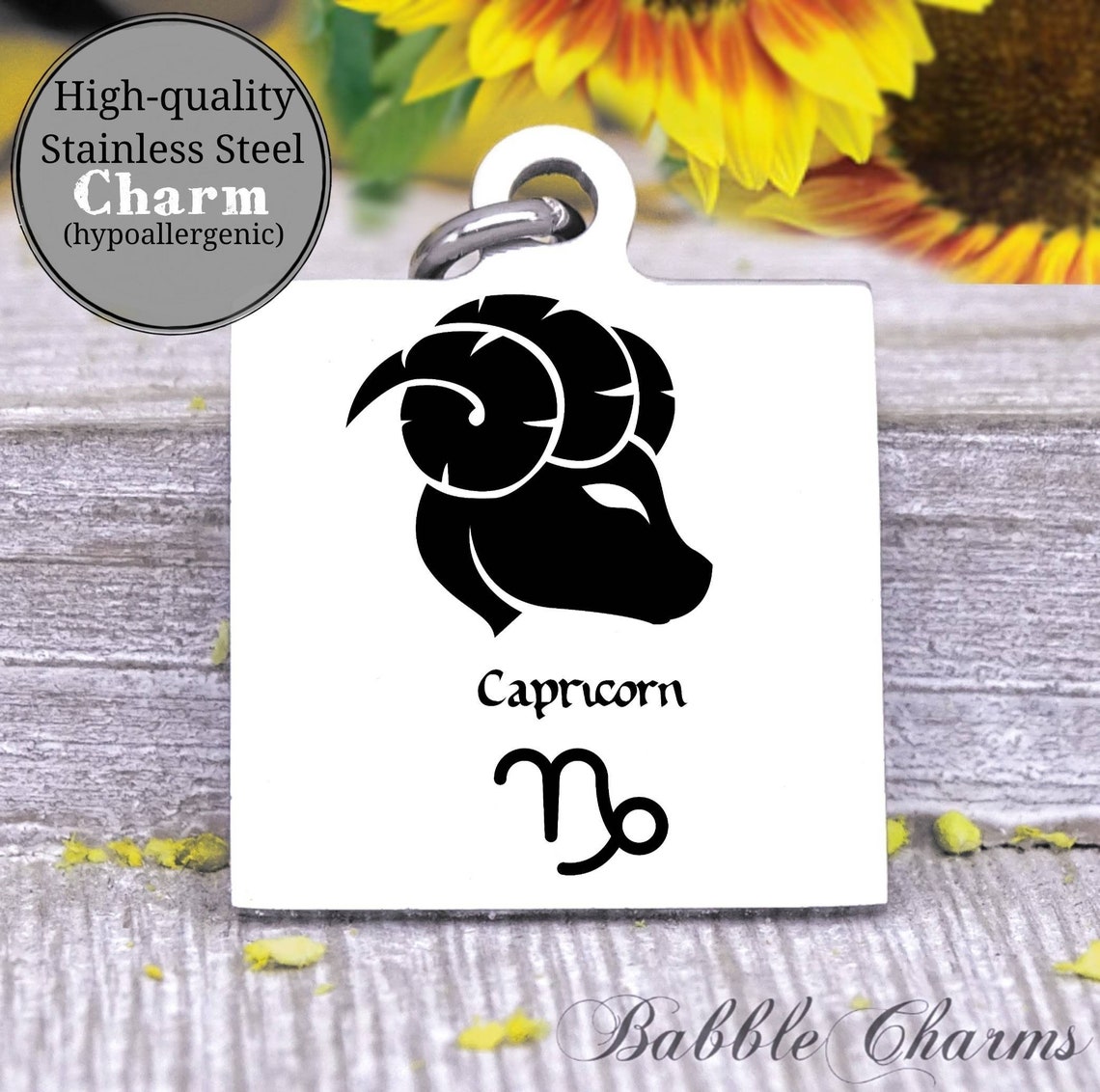 Capricorn Capricorn Charm Sign Zodiac Astrology Charm Etsy