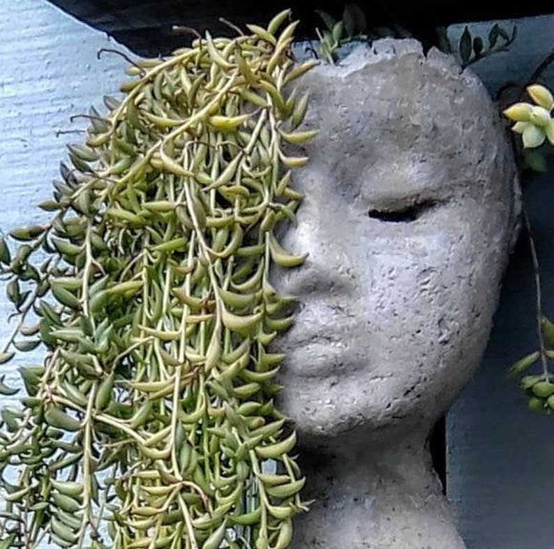 Concrete head planters Etsy