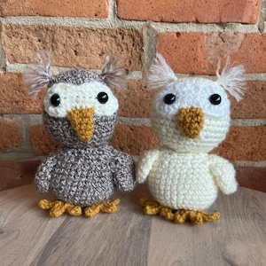 Albert the Owl Crochet Pattern