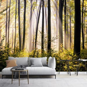Autumn Morning in the Forest Wallpaper, Trees Forest Wall Mural Wall Decor