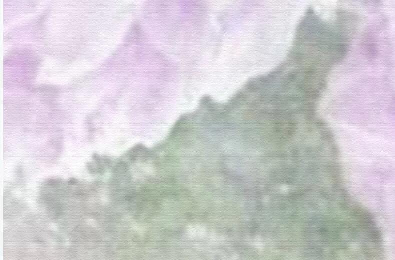 Purple Giant Peony Floral Wallpaper Wall Mural Corner Purple - Etsy