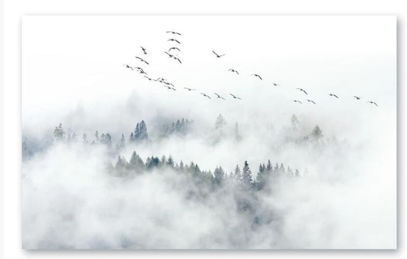 Birds Pine Forest Clouds Landscape Wallpaper Wall Mural, Misty Forest Landscape Wall Mural Wall Decor image 3