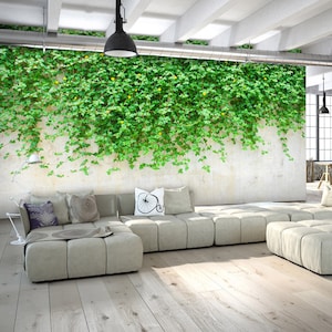 Hanging Vine Leaves Wallpaper Wall Mural, Green Leaves Wall Mural Wall Decor Home Decor
