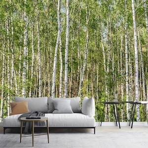 Dense Birch Forest Wallpaper, Green Spring Birch Photo Wallpaper Mural