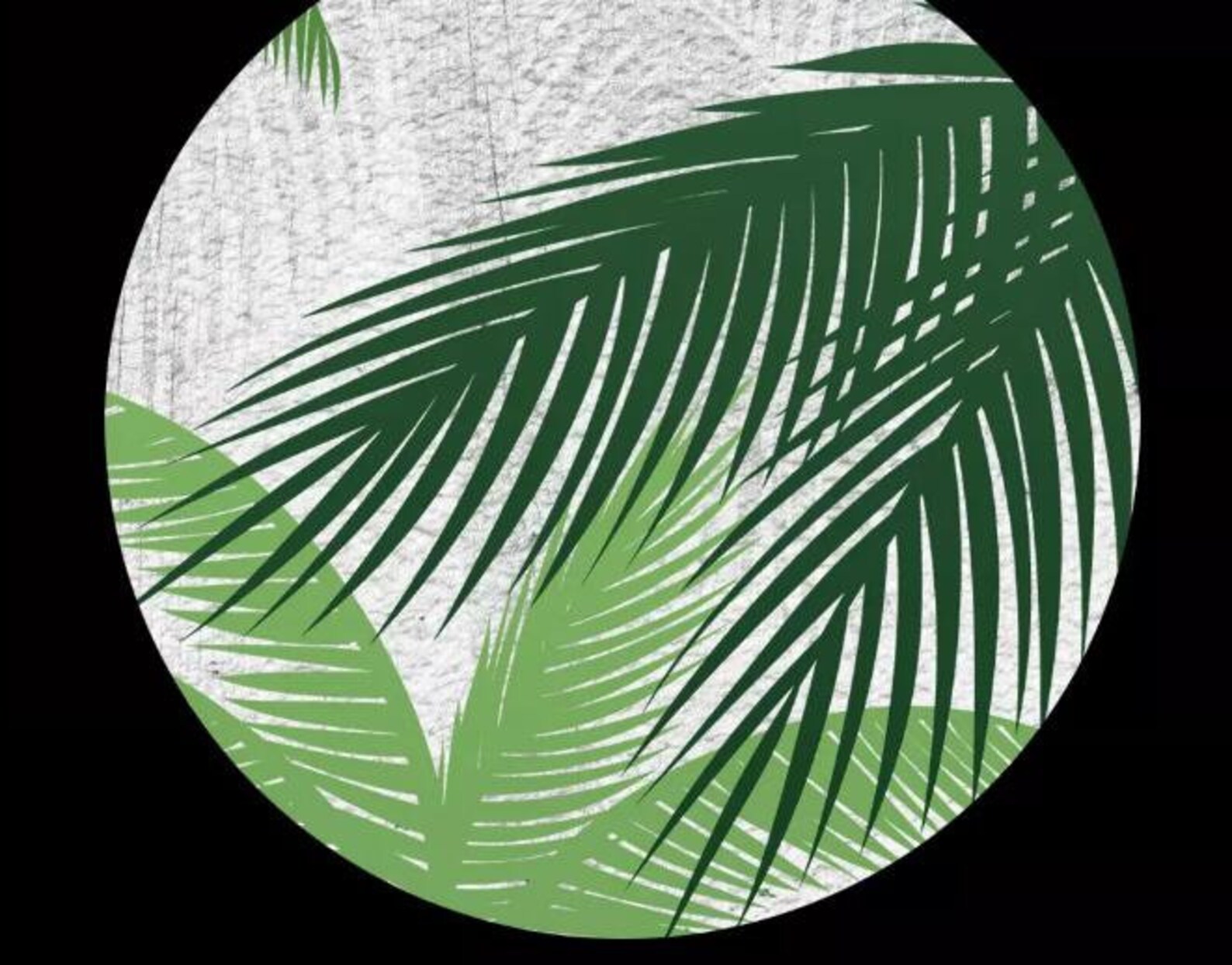 Beautiful Simple Green Coconut Trees Wallpaper Wall Mural | Etsy