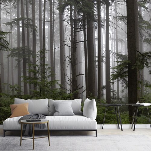 Papier peint forêt brumeuse : arbres gris sombres
