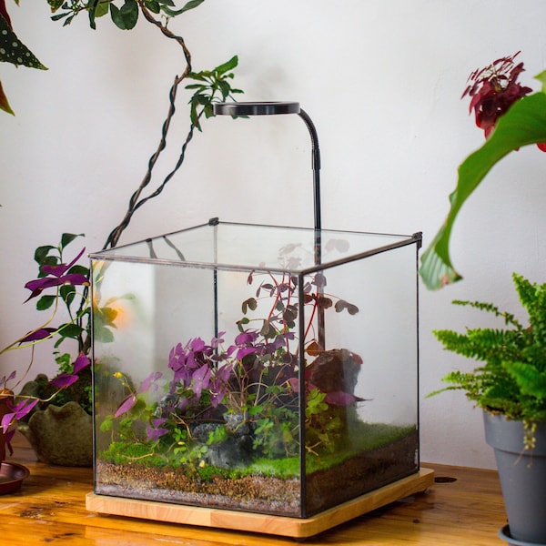 Above Ground Lap Pool DIY Build Your Own Swimming Pool DIGITAL Plans