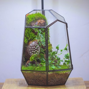 NCYP Close Geometric Glass Terrarium with Door, Tin Sealed  Irregular Tall Planter Succulent Cacti Fern Flower Pot