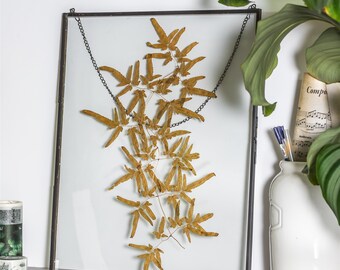 Glass Floating Frame Etsy