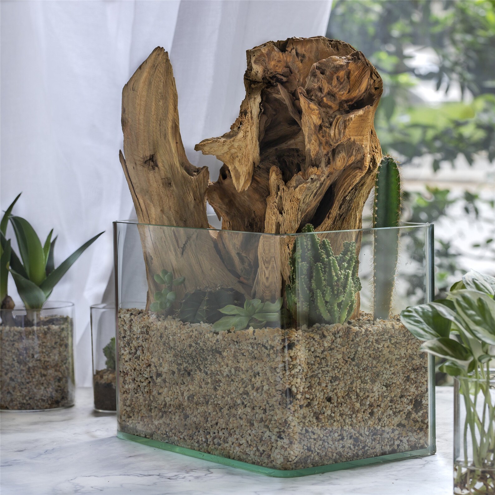 Natural Driftwood Bogwood for Terrarium Succulents Landscaping Etsy