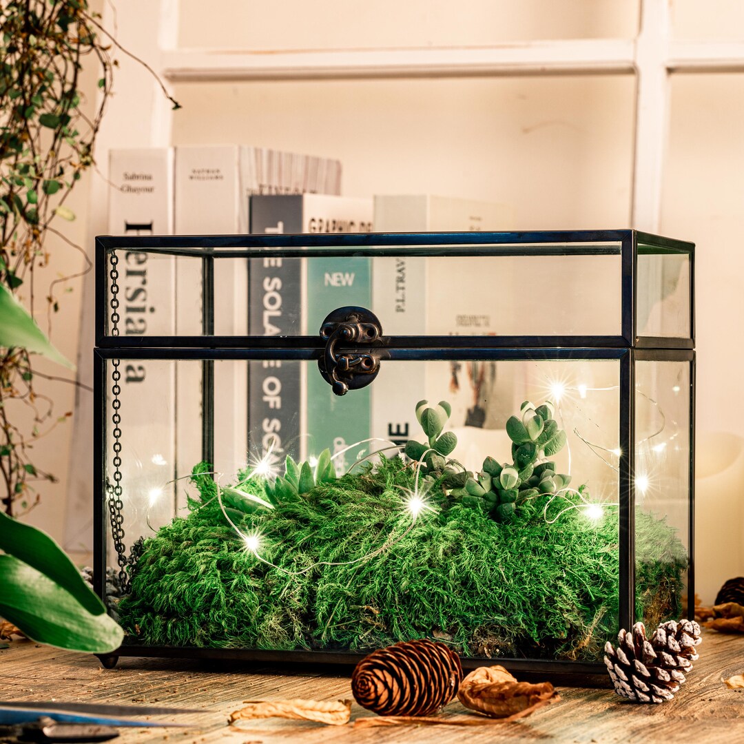 Black Geometric Glass Card Box Terrarium Foot Latch Handmade
