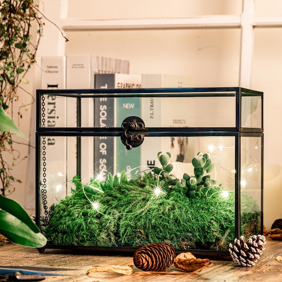 Black Geometric Glass Card Box Terrarium Foot Latch Handmade Etsy Australia