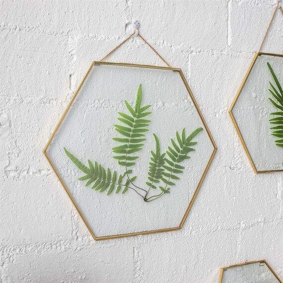 Hanging Small Pink Hexagon Herbarium Copper Glass Frame for Pressed Flowers  Dried Flowers