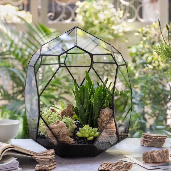 NCYP Terrario di vetro geometrico aperto irregolare a forma di bolla  Fioriera per piante grasse Vaso in miniatura Dessert Paesaggio Bonsai  Orchidea Contenitore -  Italia