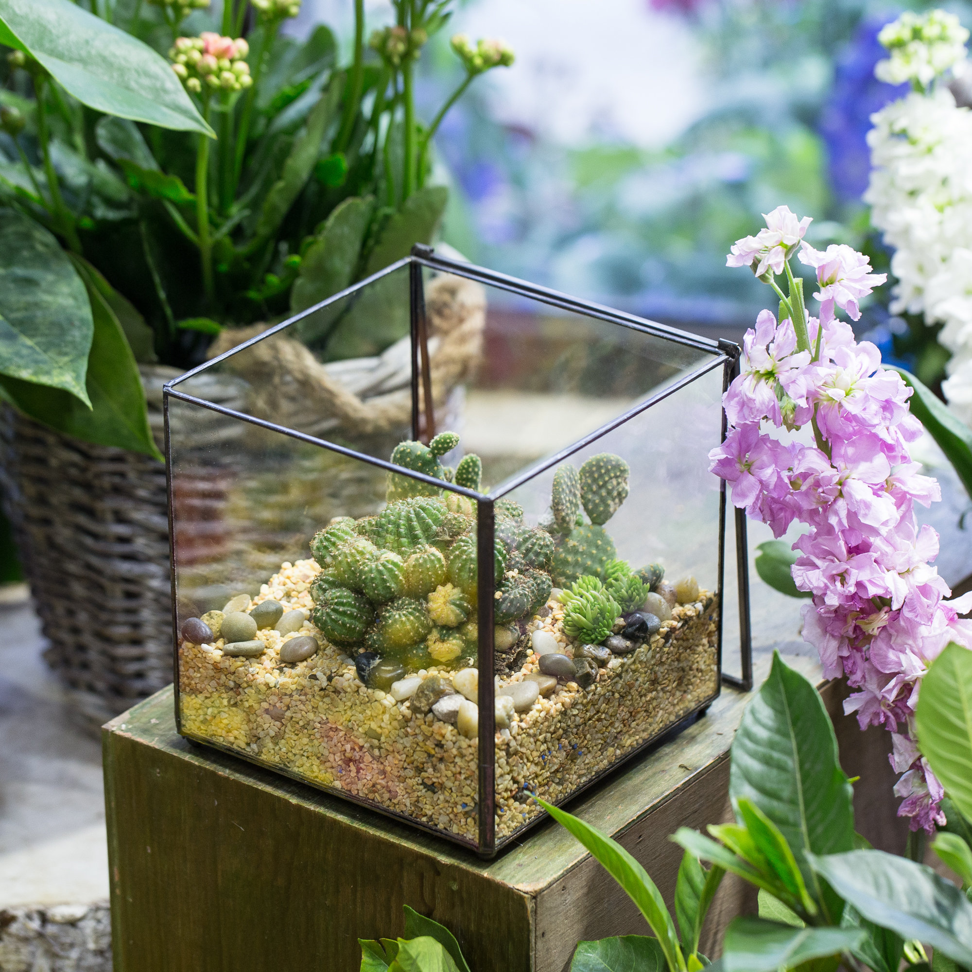 NCYP Vintage Square Geometric Terrarium Tin Sealed Planter Etsy