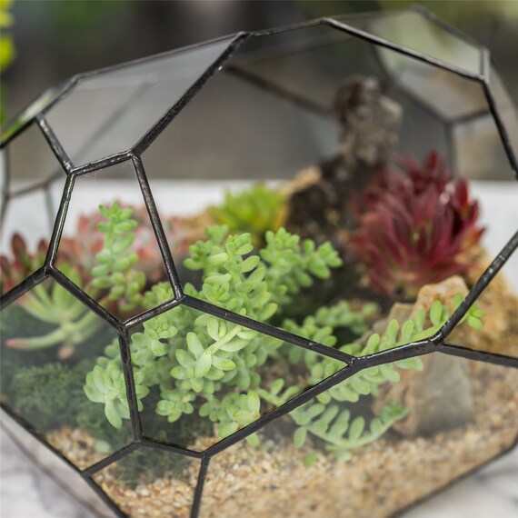 Ncyp Irregular Open Geometric Glass Terrarium Bubble Shape Ncyp Irregular Open Geometric Glass, Extra Large Round Glass Terrarium