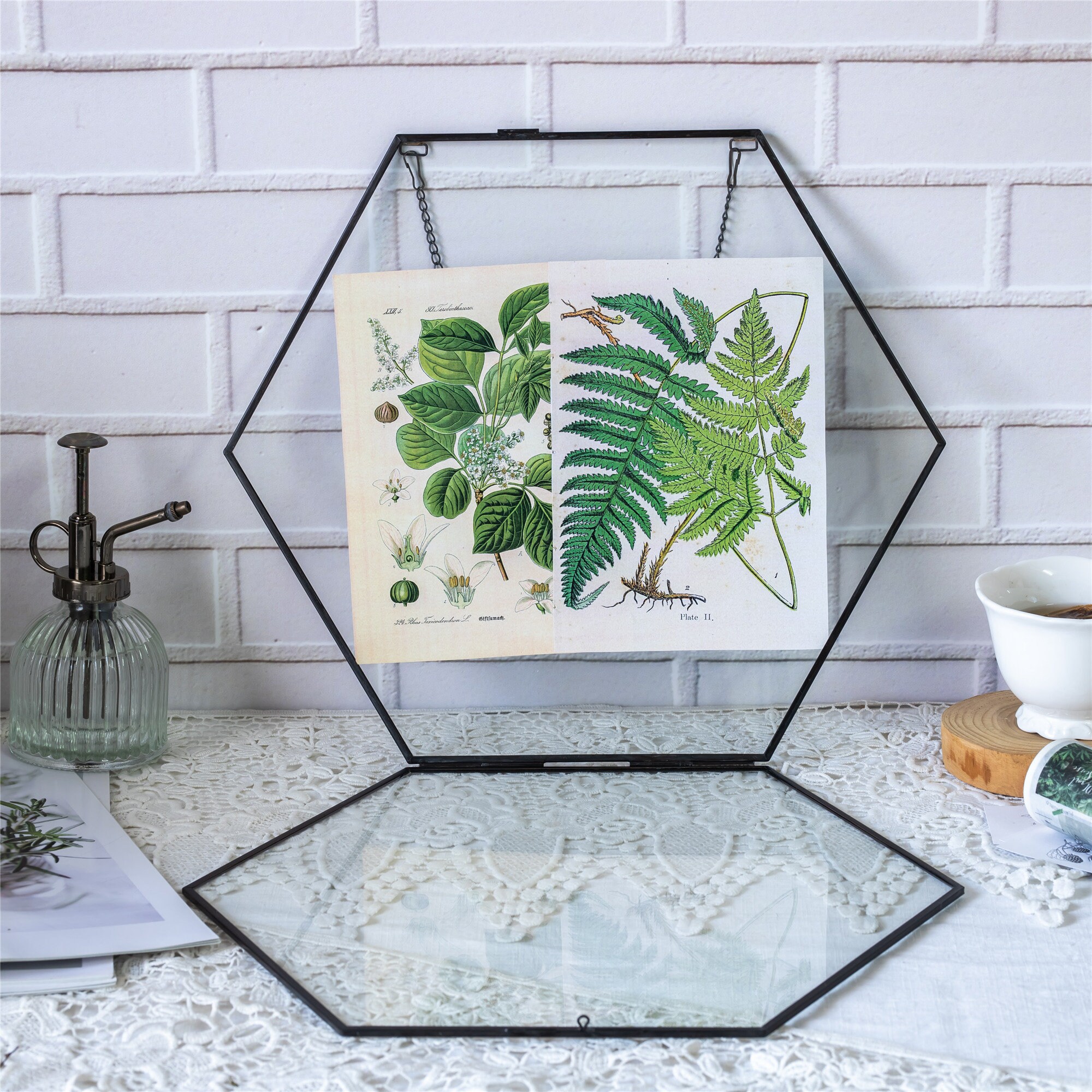 Hanging Hexagon Herbarium Brass Glass Frame for Pressed Flowers Dried  Flowers Floating Frame