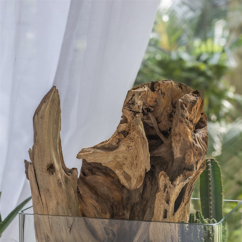Natural Driftwood Bogwood for Terrarium Succulents Landscaping Etsy