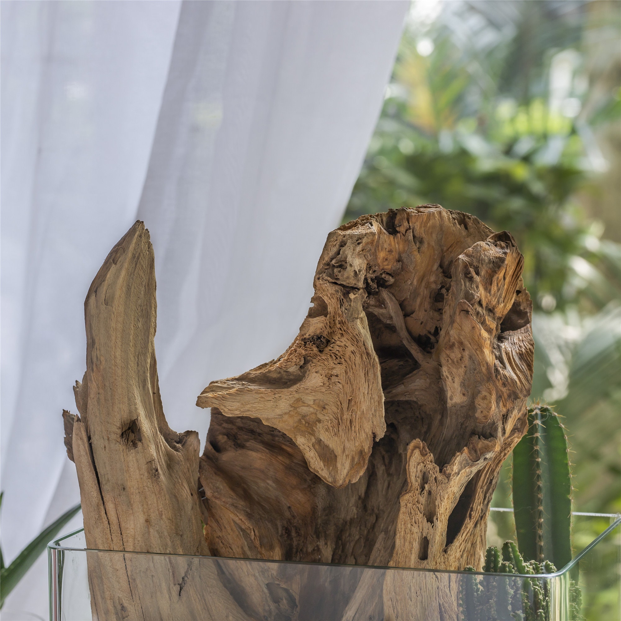Natural Driftwood Bogwood for Terrarium Succulents Landscaping Etsy