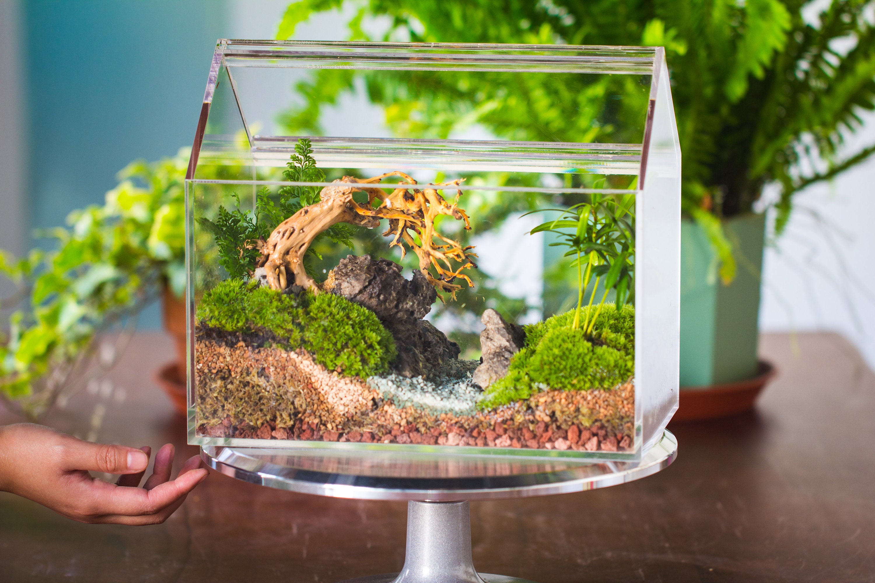 Mini LED Terrarium Ornament Set of 2