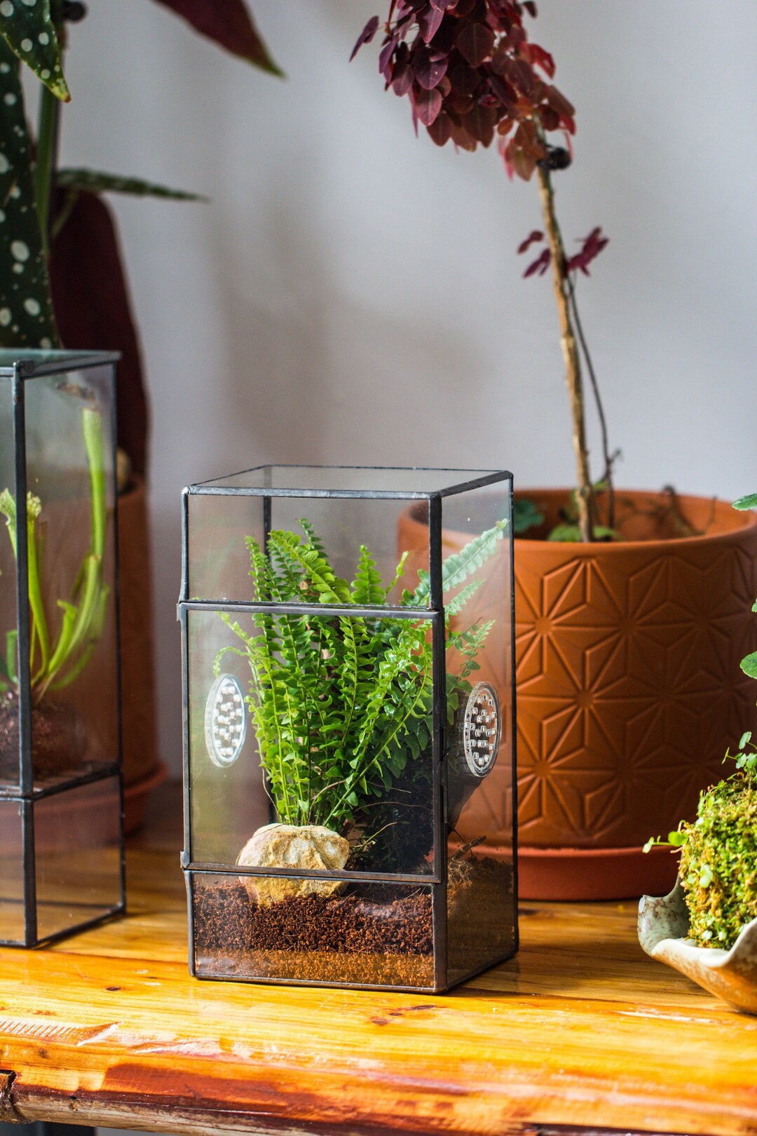 NCYP Rectangle Tin and Glass Geometric Terrarium, With Side Door, With