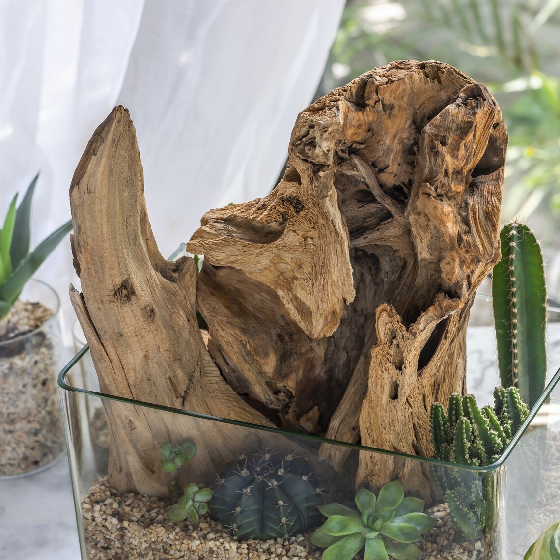 Natural Driftwood Bogwood for Terrarium Succulents Landscaping Etsy