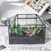 Glass Geometric Terrarium, Tin-Sealed, Brass, Black, House Shape Container, Grid and Swing Lid, for  Moss, Succulents, Cacti, Air Plants 