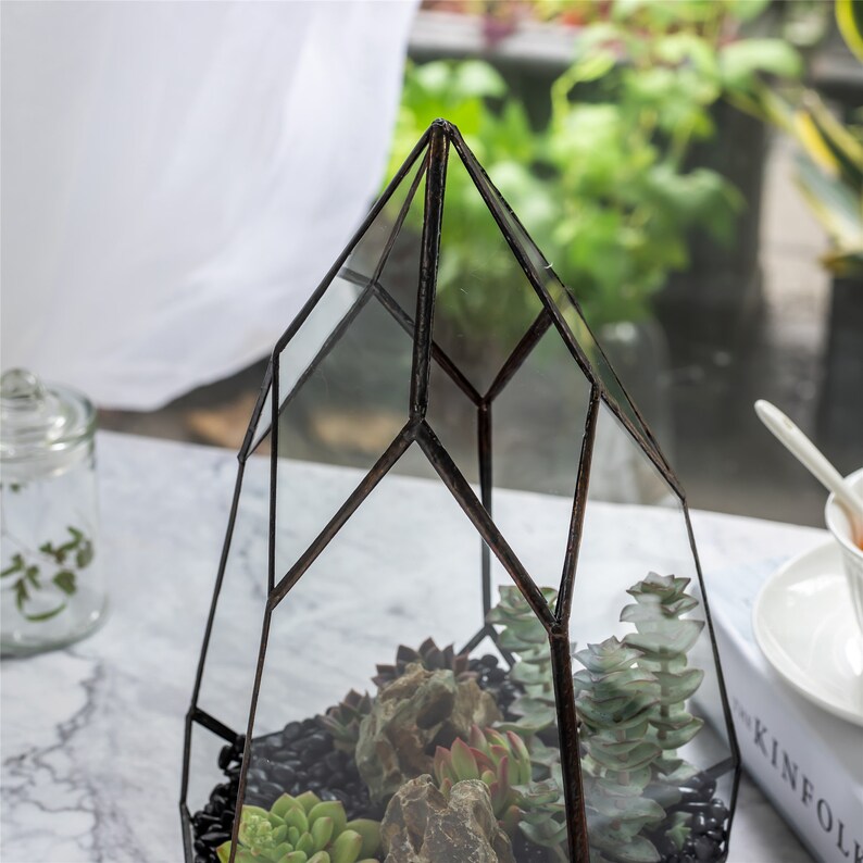 NCYP Irregular Open Geometric Glass Terrarium Tall Teardrop Succulents Planter Pot Miniature Dessert Landscape Bonsai Orchid Container