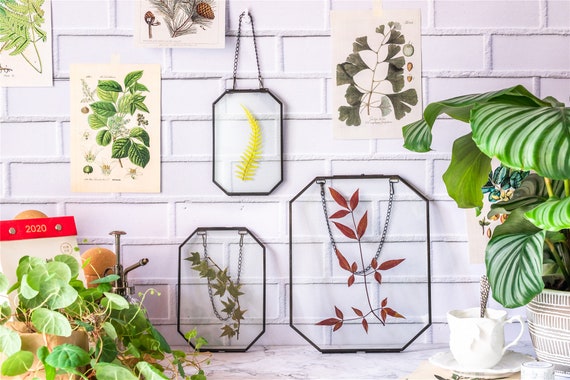 Hanging rectangle Multiple Size Herbarium Brass Double Glass Frame for  Pressed Flowers, Dried Flowers, Poster, floating Frame