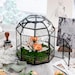 NCYP Dome Geometric Glass Terrarium Round, Closed  Succulents Planter Pot Miniature Dessert Landscape Bonsai Container 