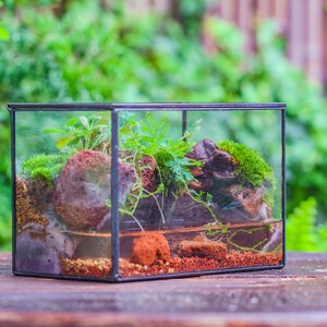 8x12 Close Geometric Glass Terrarium with Door, Tin Sealed Rectangle Tall  Planter for Moss Wall, Fern, Landscape multiple size, No plants