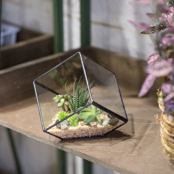 NCYP Geometrisch Glas Terrarium Cube Succulent - Etsy België